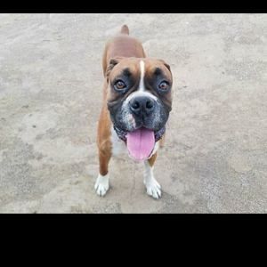 Meet your Posher, Austin